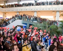 concurso tv Ferrara plaza quiztion 051