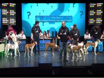 concurso tv quiztion 007